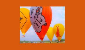 Hot Air Koala Thumbnail